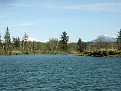 Snohomish Slough: April 2014