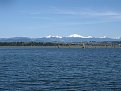 Snohomish Slough: April 2014