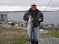 Whidbey silver salmon