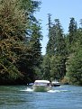 Mayfield Lake(Cowlitz river) 2009