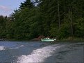 Alder_Lake_2008_047