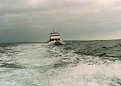 Tow 37 foot trawler from Campbell River BC to Anacortes in November 97. Fir